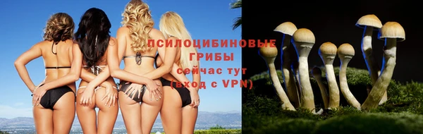 дистиллят марихуана Баксан